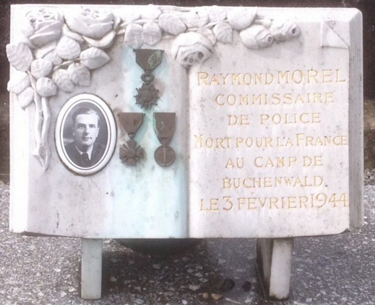 morel plaque